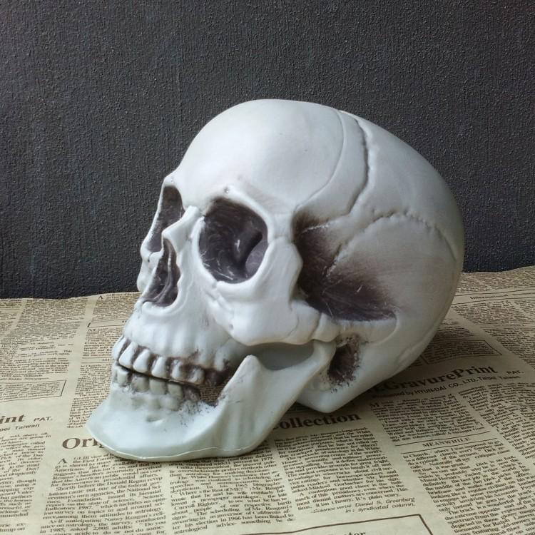 Shuomei menschliches Schädelmodell für Halloween-Dekoration & Spukhaus-Ornamente