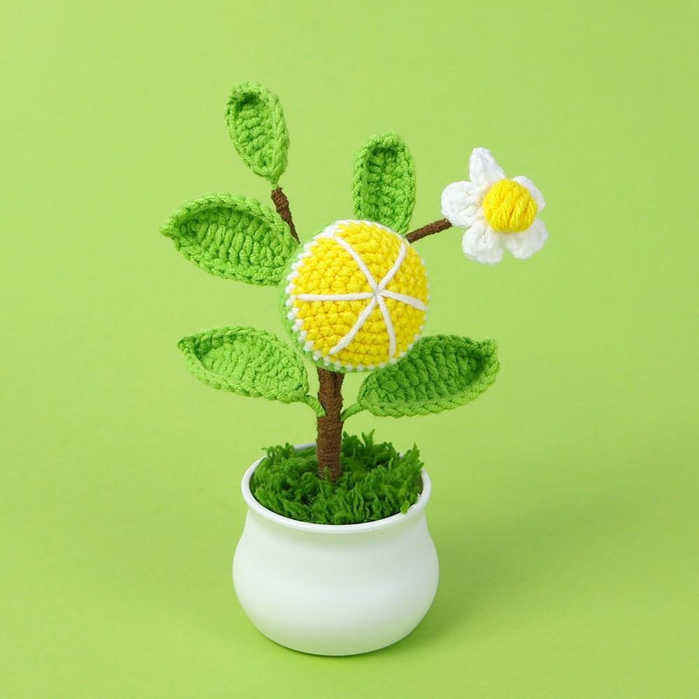 Hand-Knitted Wool Fake Flowers Set: Sunflower, Carnation, Tulip - Desktop Decor, Teacher/Student Gift, Everlasting Bouquet