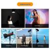 Aputure LS C300d II 300W LED Video Light