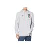 Puma Logo Print Hoodie Men hoodies Gray 767136-16