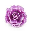 Large Flower Fascinator Exaggerated Headband and Clip Elegant Hair Accessory  for Women
