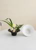 Peacock Green Zen Style Conical Ceramic Vase for Flower Arranging