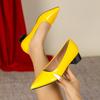 958-24DX Women's Plus Size Pointed Toe Low-Cut Chunky Heel Shoes