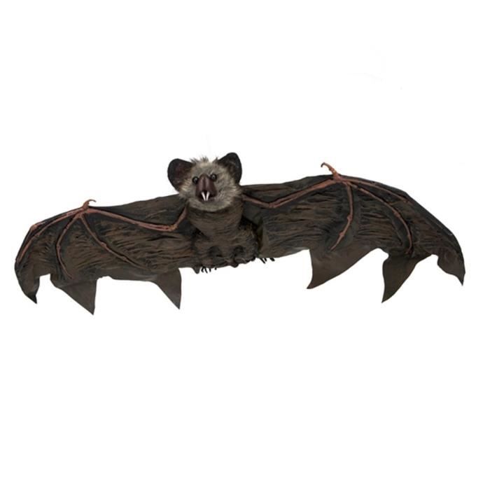 Suspension - Décoration De Fête - Chauve-souris Géante 90 Cm - Noir - Intérieur - Halloween