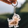 Psí klíčenka Personalizovaná památka na mazlíčka Průhledná akrylová skořápka Corgi Pomeranian Buldok Lehká klíčenka s plemenem psa