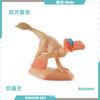 Simulation Jurassic Mini Dinosaur Model Pterosaur Stegosaurus Tyrannosaurus Velociraptor Fusarium Spinosaurus Ornament