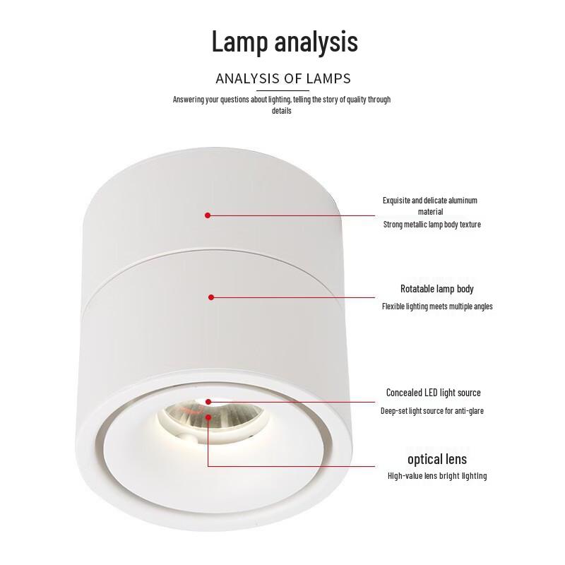 Oeny Surface-Mounted Foldable LED Spotlight