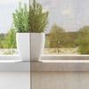 VidaXL Rideaux en voile avec œillets 2 pcs marron clair, rideau en filet, rideau transparent, voile de fenêtre, traitement 4102129
