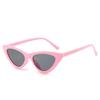 Gafas de Sol Retro Ojo de Gato Triangulares para Mujer de Alta Gama Modernas Hipster Chica Caliente Gafas de Playa para Exterior Viajes Camping Oculos De Sol