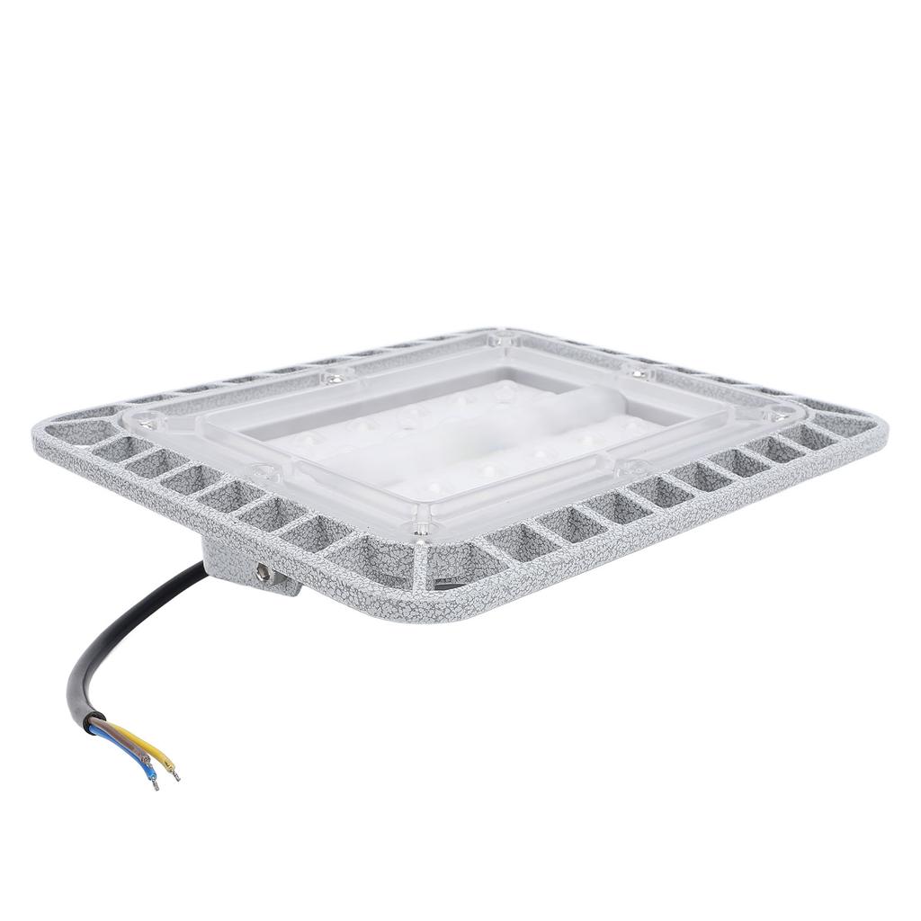 LED Explosion Proof Light 50W 5500LM 5000K High Brightness IP65 Water Resistant Die Cast Aluminum LE