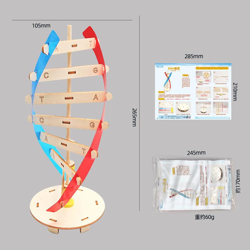 3D Wooden Puzzle DIY Physical Model Science Experiment Educational Toy Password Box Grain Fan Assembly Model DIY Decoration Gift