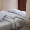 Premium Sand Washed Lyocell Tencel 4-Piece Set: Light Luxury, Machine Washable, Skin-Friendly, All-Season Bedding