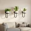 Stabiler Eisen-Wandmontierter Pflanzenhalter Bonsai Hängepflanzer Gestell Aufbewahrungsregal Bürodekoration