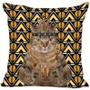 Bedroom Home Office Decor Pillowcase Square  Funny Cat Animal