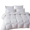 Victor Thickened Winter Duvet Insert