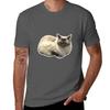 Primcess Pamcake  Concerned Tshirt Minimalist Casual Short Sleeve Top Tshirt