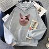 Meme Cats Hoodies Casual Kawaii Graphic Printing Sweatshirts Women/men Comfortable Fleece Soft Sudaderas Long Sleeve Girl Hoodie