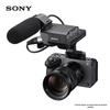 Sony ILME-FX30 Professional Cinema Camera Kit with 18-105mm Lens (CN Version)