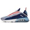 New Air Max 2090 Usa CT1091-101