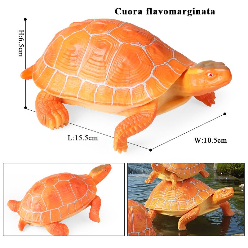Oenux Sea Life Animals Model Leatherback Tortoise Turtle Growth Cycle Ocean Figurines Action Figures PVC Collection Kid Toy Gift