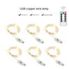 LED Copper Wire String Lights USB Powered 100m Green Wire Starry Fairy Lights for Christmas Tree Party Wedding Garden Decoration Warm White