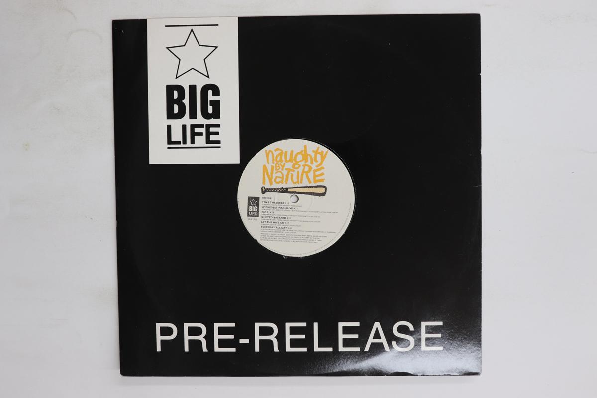 LP Record NAUGHTY BY NATURE Naughty By Nature BLRLP11 BIG LIFE 1991 UK Rap HipHopRB Used