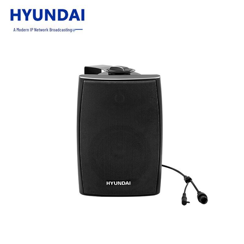 Hyundai IP Network Broadcasting Audio Systems CN plug (adapter included)