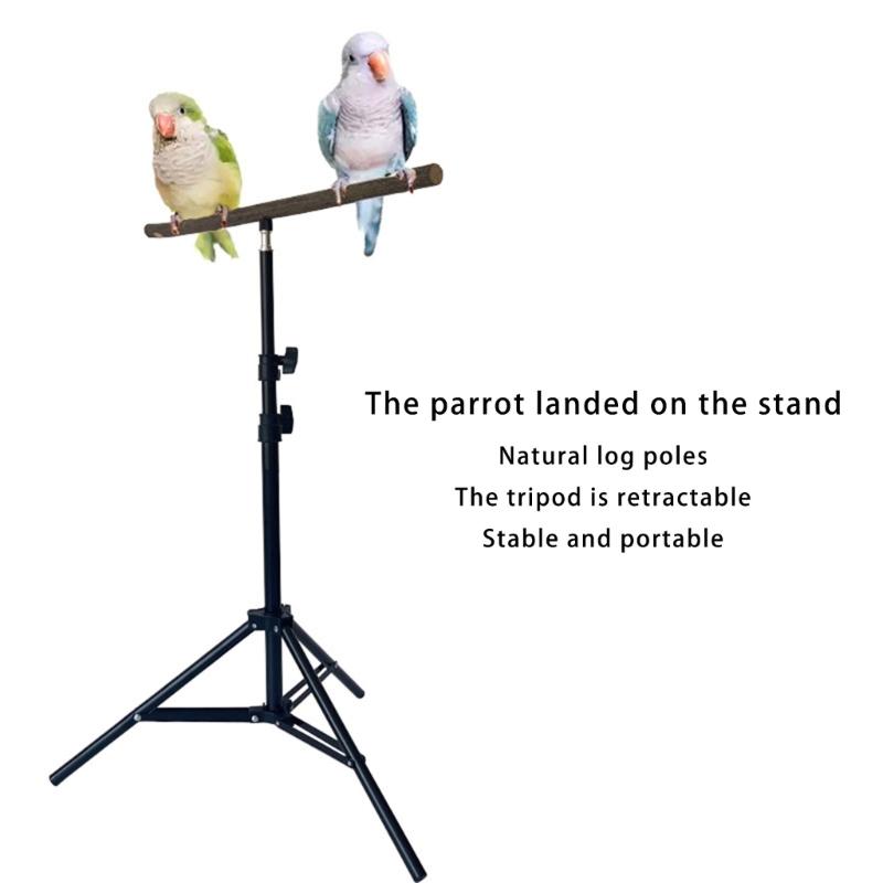 Supporto con Perch per Uccelli Treppiede Costruzione in Legno Naturale Design Retrattile Regolazione Altezza Strumento di Addestramento per Pappagalli
