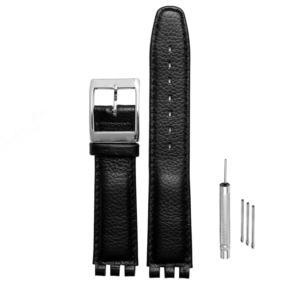 ZHUOLEI Swatch Watch Includes 3 Spring Spring Bar and Box Strap, 17mm/19mm, Bars, Remover,