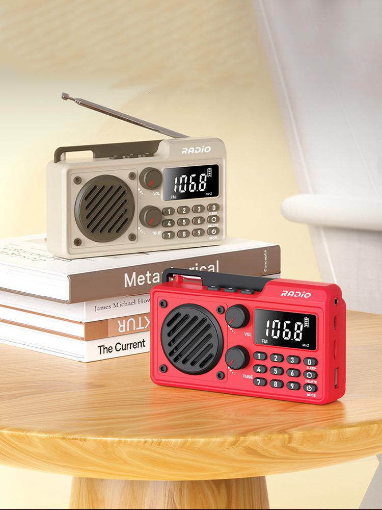Pocket Radio Wireless BT Speaker Battery Operated Radio Support TF Card U Disk Earphone Sleep Timer for Indoor Outdoor Travel