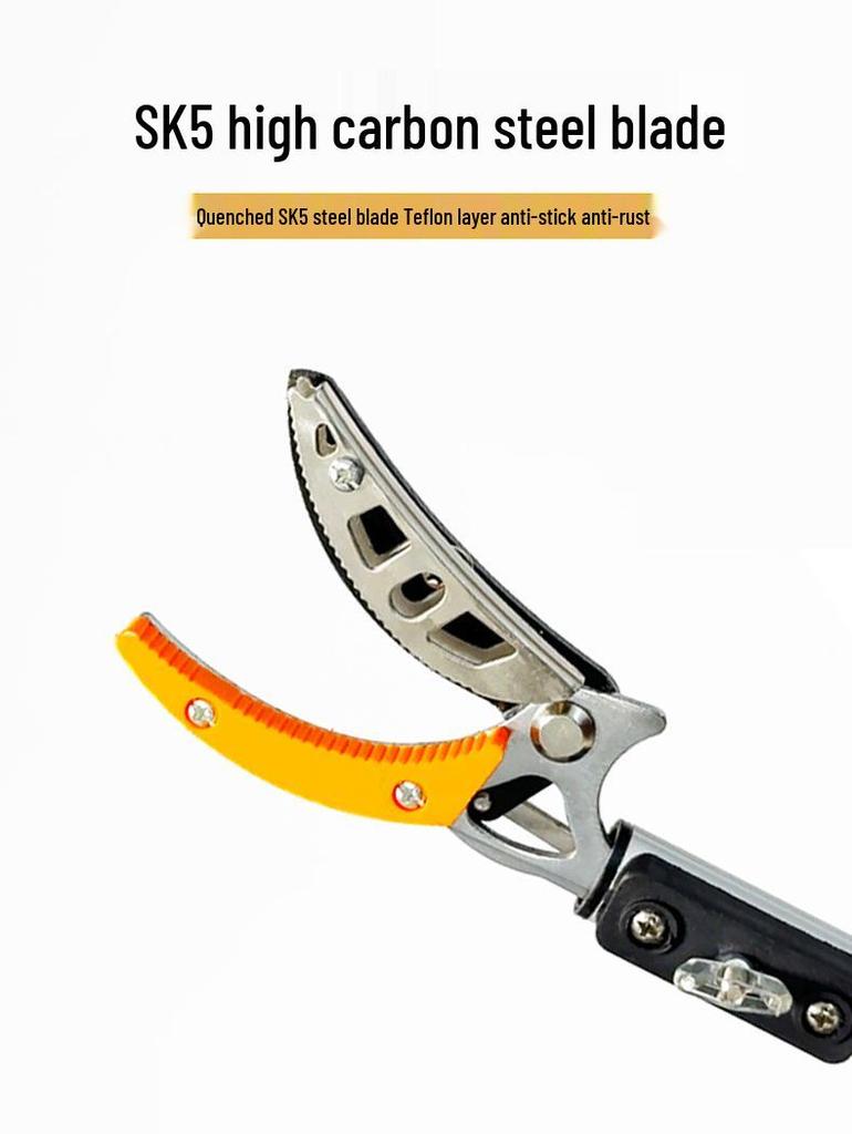 High-Altitude Telescopic Fruit Picking and Pruning Shears for Loquats, Lychees, and Longans