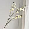Sztuczny Kwiat Frezji 29.5 Cala Realistyczny Sztuczny Kwiat Storczyka Realistyczny w Dotyku Sztuczne Gałązki Phalaenopsis na Wesele Imprezę Wystrój Domu
