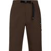 Under Armour Urban Outdoor Comfort Versatile Skin-Friendly Breathable Cargo Pants Men Pants Olive-Brown 1387984-230