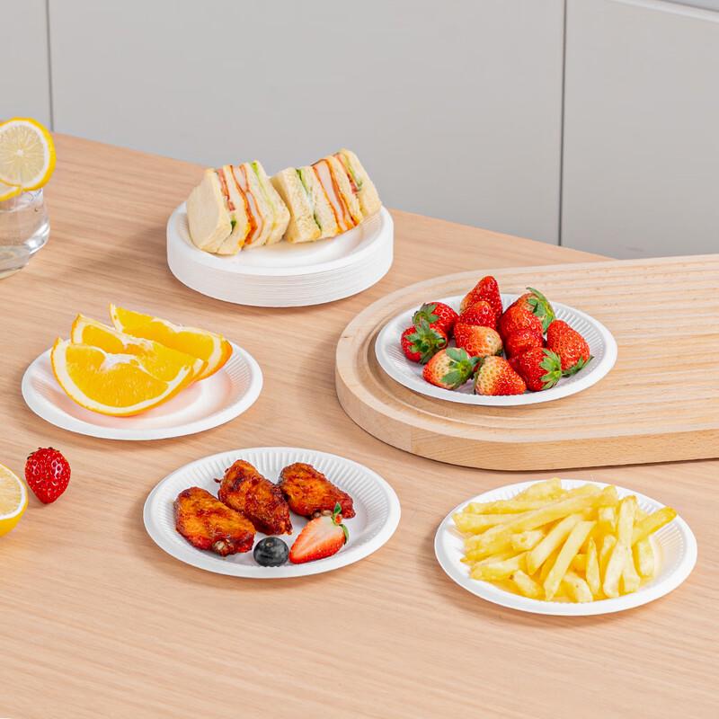 Temeiju 6-inch Biodegradable Disposable Plates