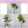 Potted Green Plant Bonsai With White Edges For Home Decor And Photography Props