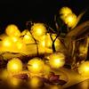 5/6/9m Solar-Powered Dandelion Seed Ball String Lights, 8 Modes Garden Decorative Hanging Ornaments, Christmas Decoration Light