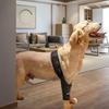 Pet Dog Leg Support Wraps With Breathable Fabric For Injury Recovery And Post Surgery Healing