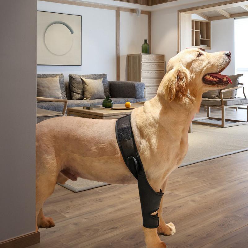 Pet Dog Leg Support Wraps With Breathable Fabric For Injury Recovery And Post Surgery Healing