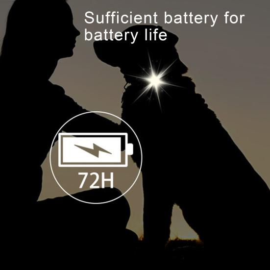 Necklace Flashing Glow Safety Accessories LED Light Blinking Safety Pendant for Dog