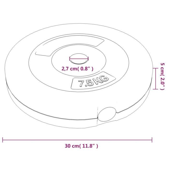 93599 vidaXL Plaques de poids 6 pcs 30 kg Béton