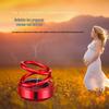 Double Ring Suspension Car Air Freshener & Perfume Holder for Interior Decoration