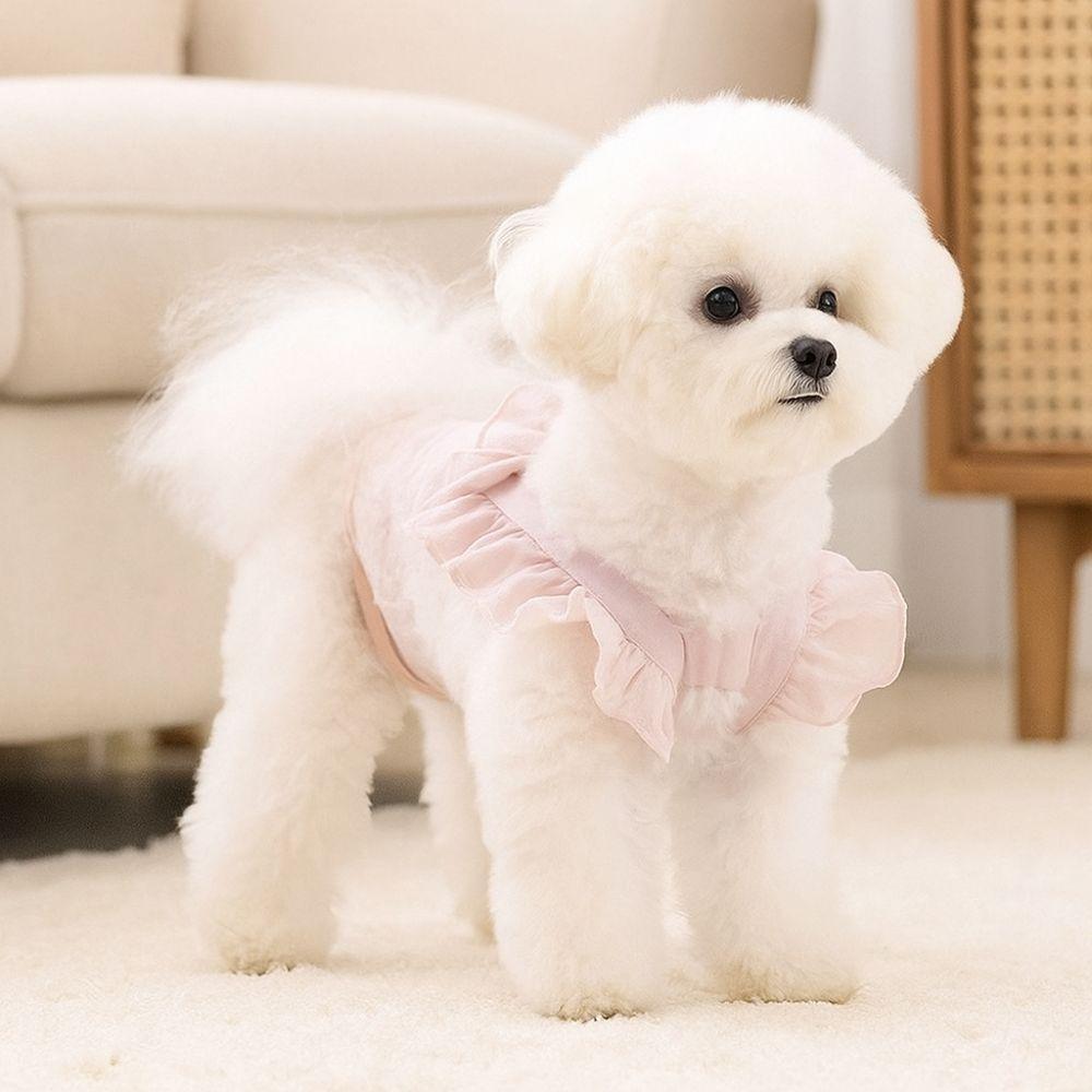 Thin Pet Dog Diapers Solid Color Summer Pet Pants Fashion Dog Physiology Pants  Anti Harassment