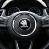 1Pcs 43mm Car Steering Wheel Emblem Sticker Skoda Logo Auto Interior Decal Badge For Skoda Octavia Superb Rapid Kamiq Karoq Kodiaq