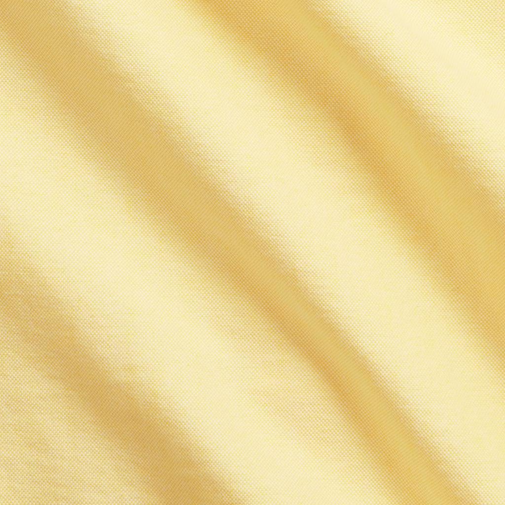 Polo Ralph Lauren Solid Color Pony Embroidered Point Collar Long Sleeve Shirt Men Shirts Yellow MNPOWOV16823529-700