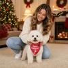 7 Pet Scarf and Bib Set, 2-Piece Adjustable Pet Neck Accessories for Daily Wear