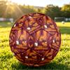 Brisbane Broncos Size 5 Football, Custom Name Text Personalized Soccer Ball Sport Training Gift