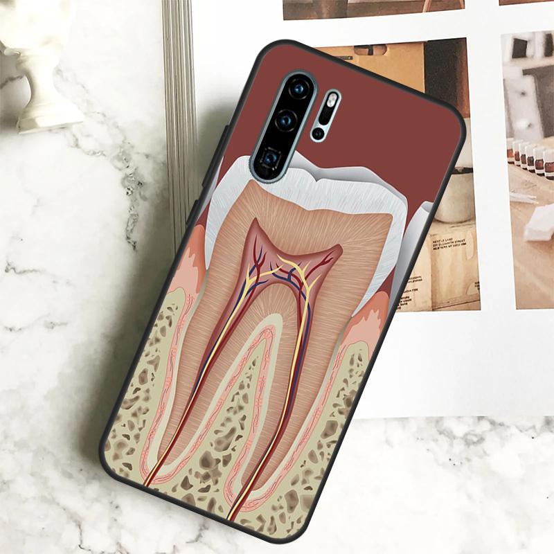 Human Tooth Anatomy For Huawei Nova 7i 8i 11i 12i 12s Y73 Y70 Y90 Y60 Y72 Y61 Y91 9 10 SE P40 Lite P30 Pro Case