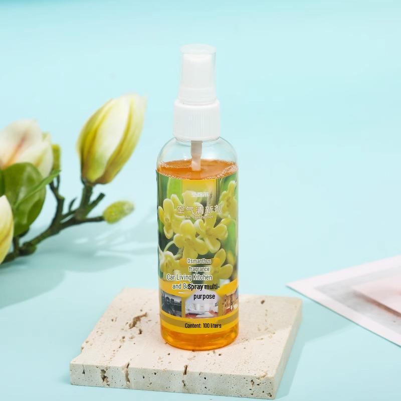 

Спрей для устранения запаха в салоне автомобиля и освежитель воздуха