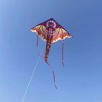 Großer Drachendrachen für Kinder und Erwachsene, leicht zu fliegen, großer, riesiger Drachendrachen mit Schwanz, leicht zu fliegendes Drachenspielzeug für draußen