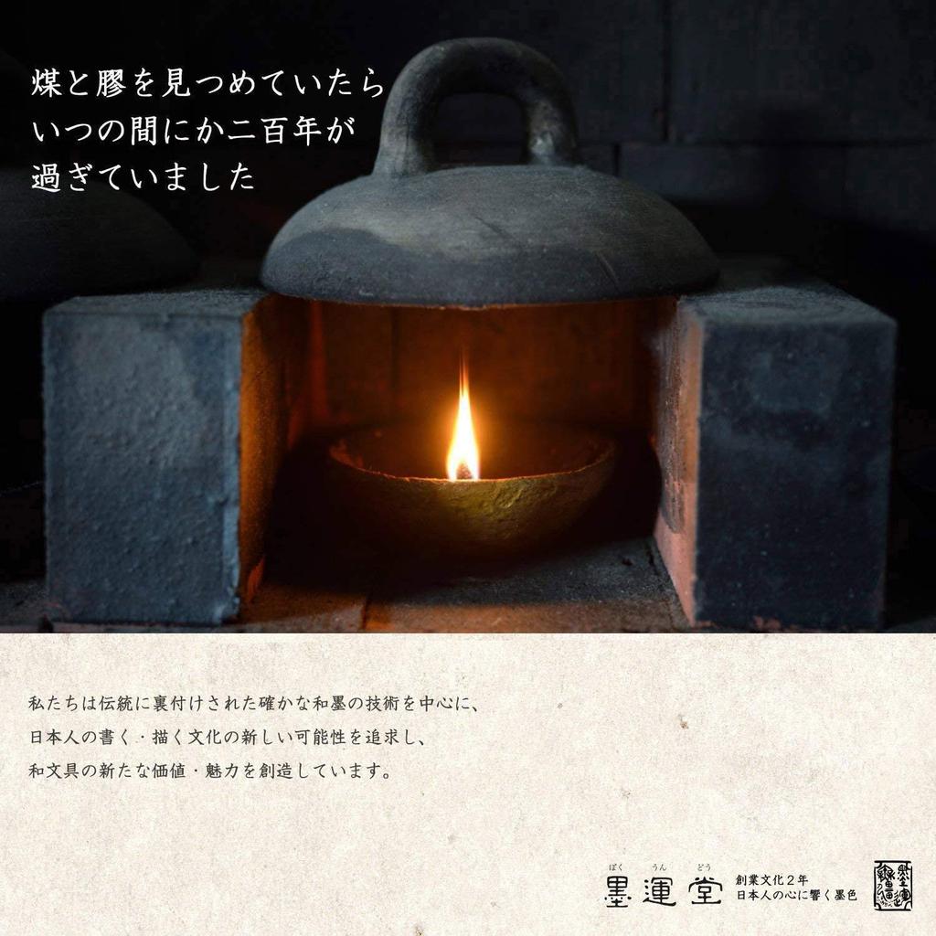 Bokuundo Solid Sumi Soshin Painting Sumi Piece Type 08605 1.5